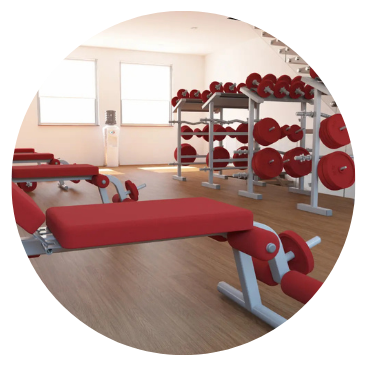 Gym Management